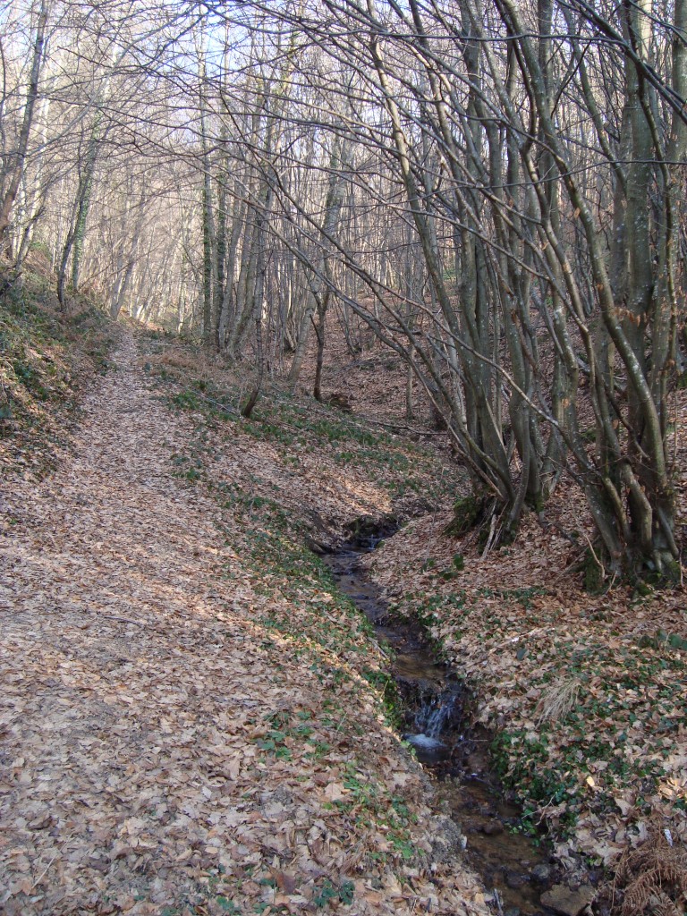 Chateauvieux, 04-01-09, 14-12.jpg